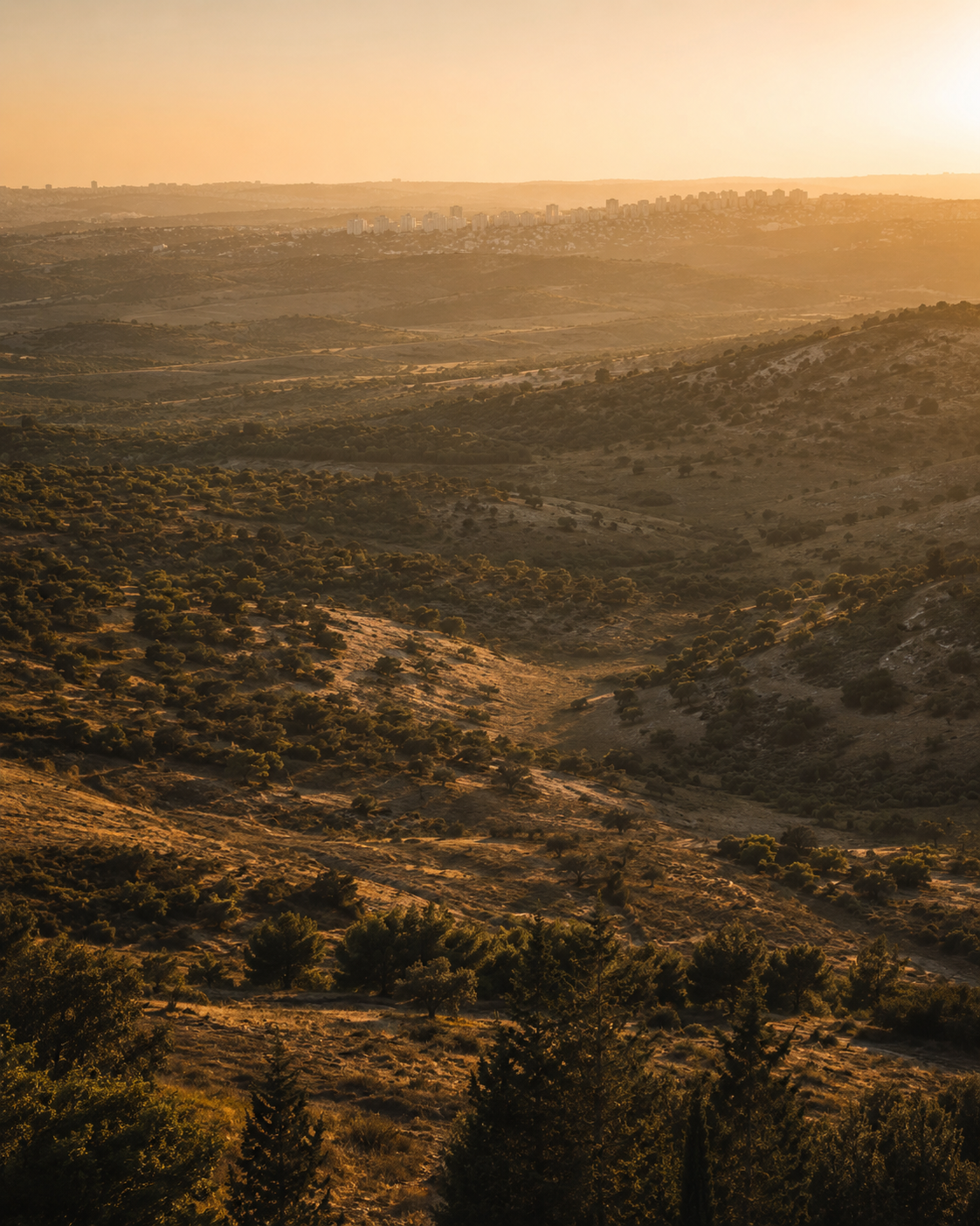 קרקע במתחם המטרו רעננה
